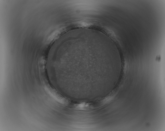 X0000111810366200907301238