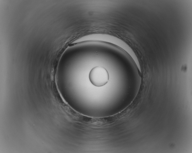 X0000111810368200907301239