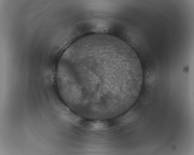 X0000111810370200907301239