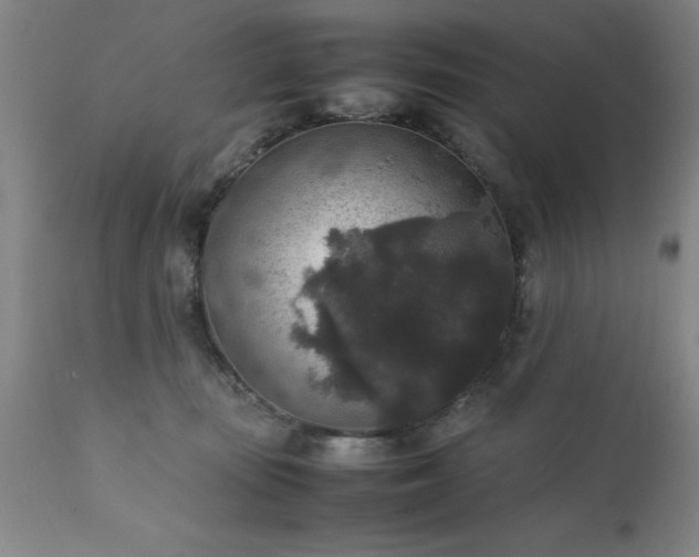 X0000111810371200907301239