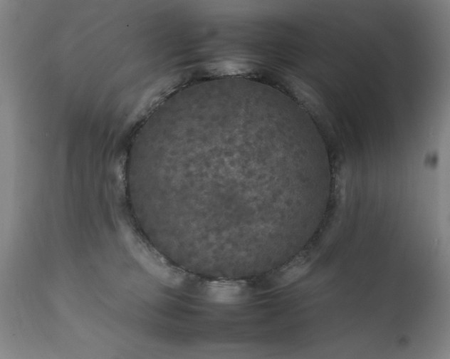 X0000111810373200907301239