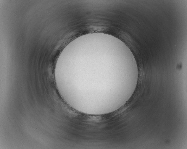X0000111810377200907301239