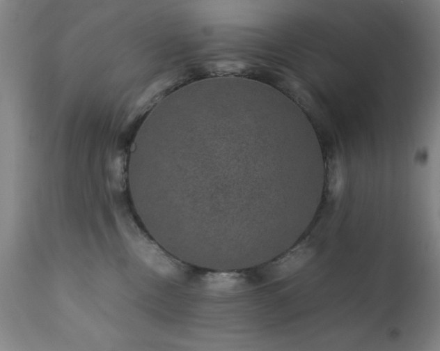 X0000111810378200907301239