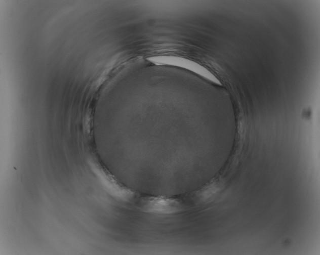 X0000111810379200907301239