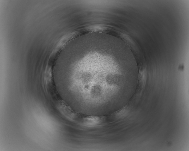 X0000111810381200907301239