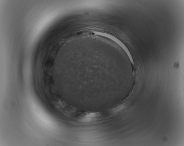 X0000111810382200907301239