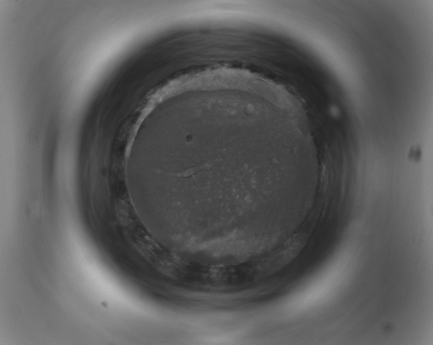 X0000111810383200907301239