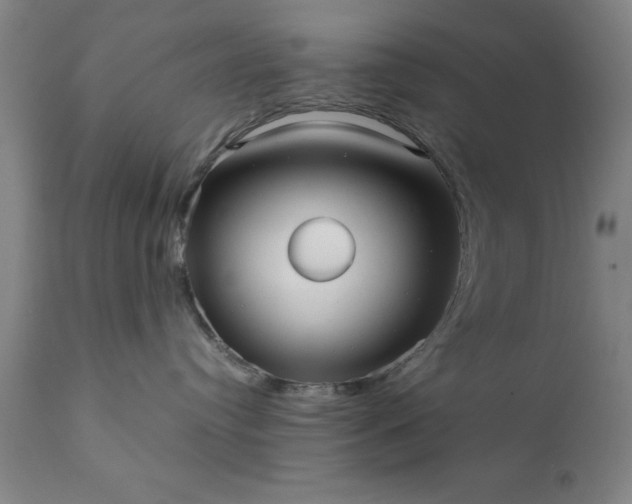X0000111810384200907301239