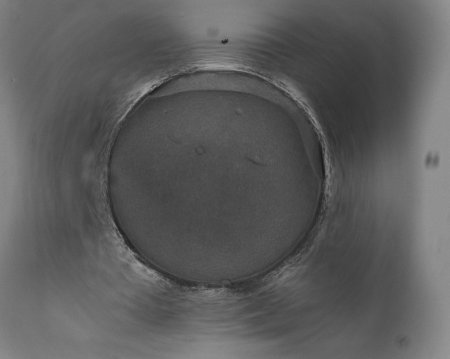 X0000111810385200907301238