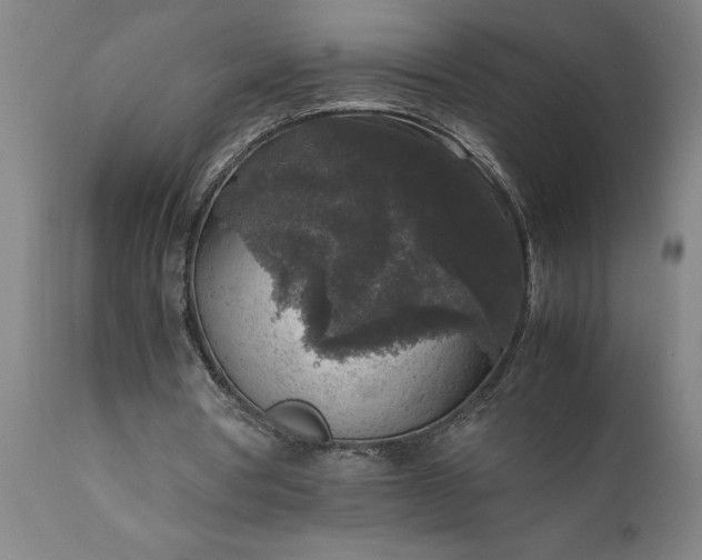 X0000111810386200907301238