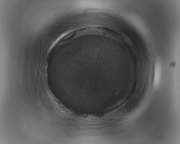 X0000111810387200907301238