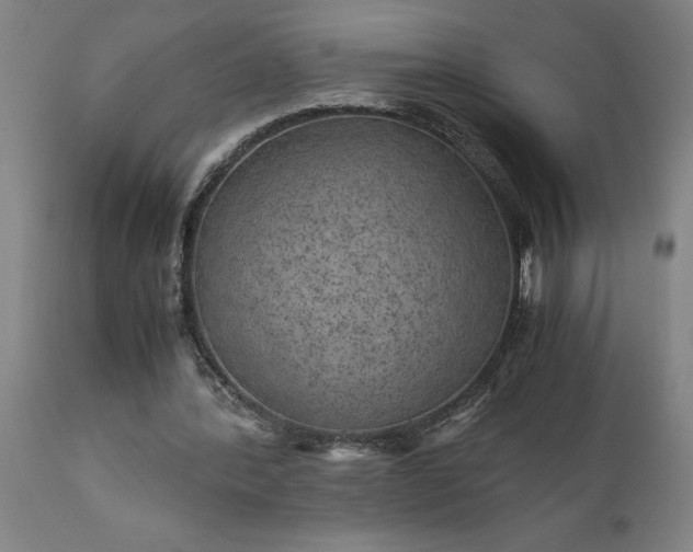 X0000111810388200907301238