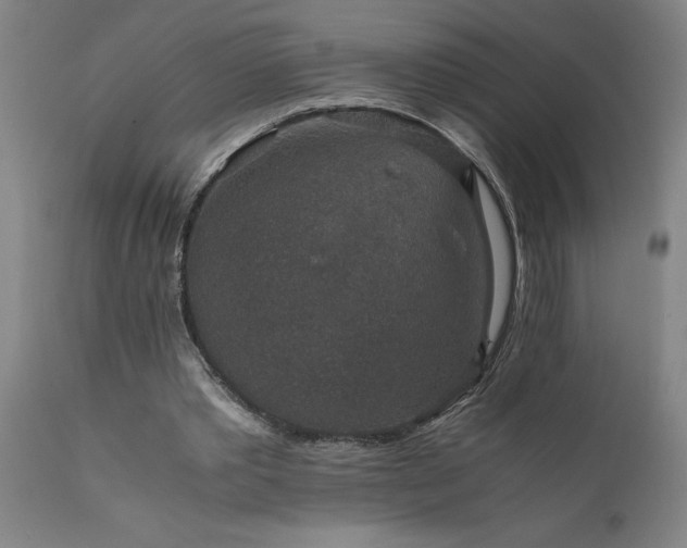 X0000111810389200907301238