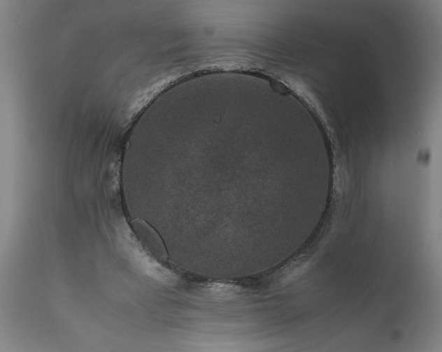 X0000111810393200907301238