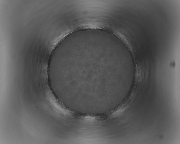 X0000111810394200907301238