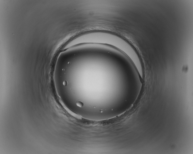 X0000111810395200907301238