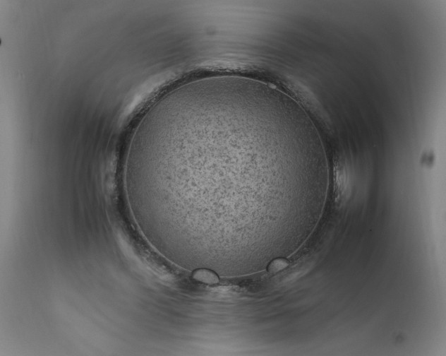 X0000111810396200907301238
