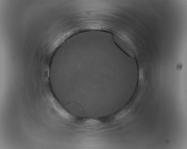X0000111810397200907301238