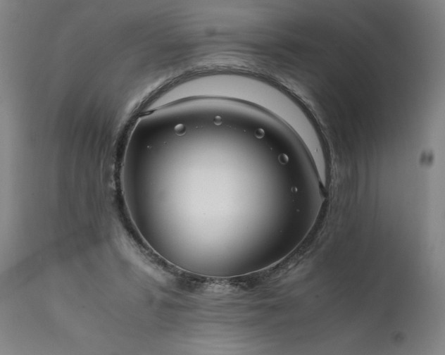 X0000111810399200907301238