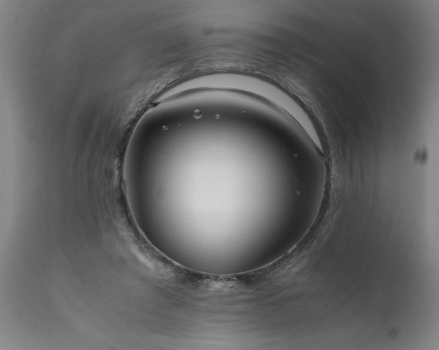 X0000111810401200907301237