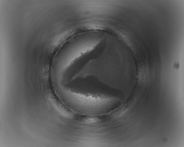 X0000111810402200907301237