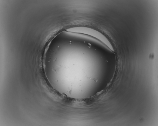 X0000111810403200907301237