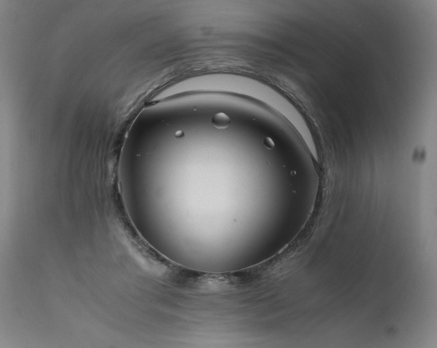 X0000111810405200907301237