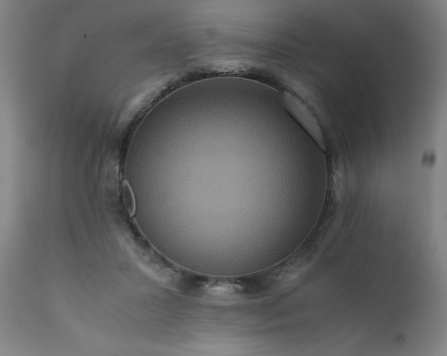 X0000111810407200907301237