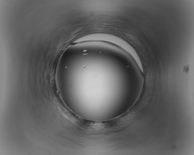 X0000111810409200907301237