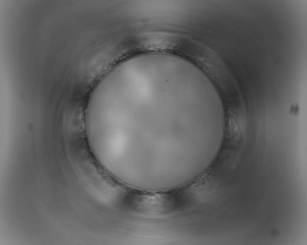 X0000111810411200907301237