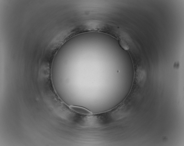 X0000111810413200907301237