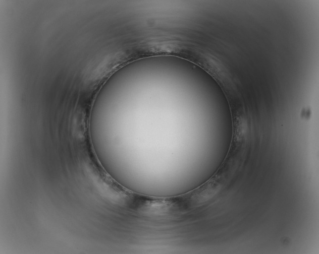 X0000111810414200907301237