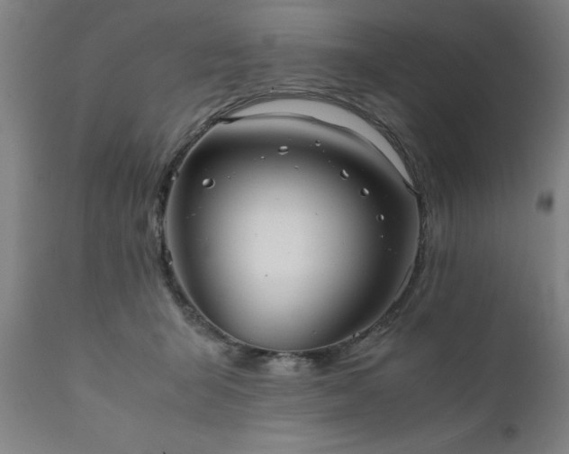 X0000111810415200907301237