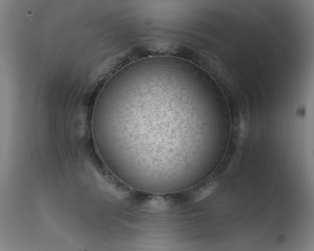 X0000111810416200907301237