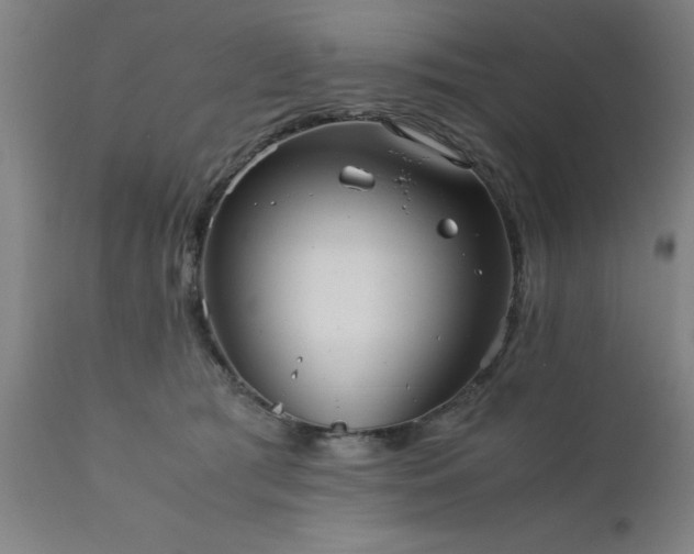 X0000111810417200907301237