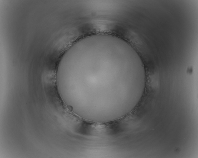X0000111810419200907301237