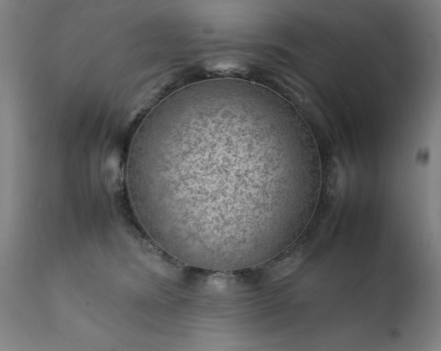 X0000111810420200907301237