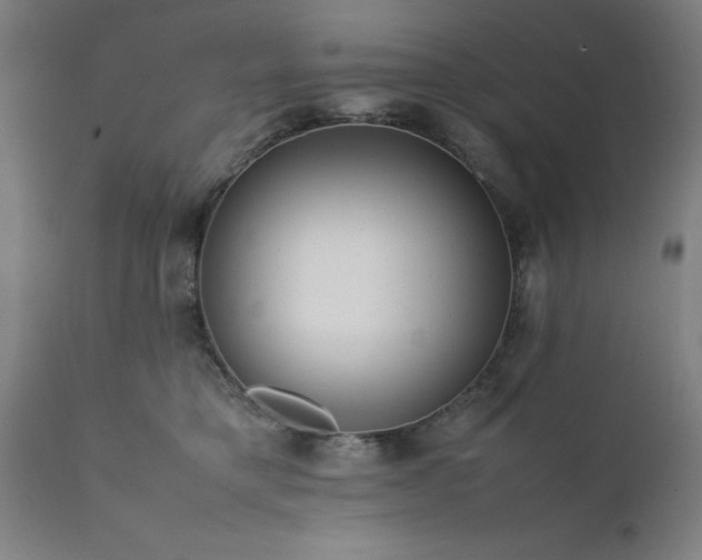 X0000111810421200907301237