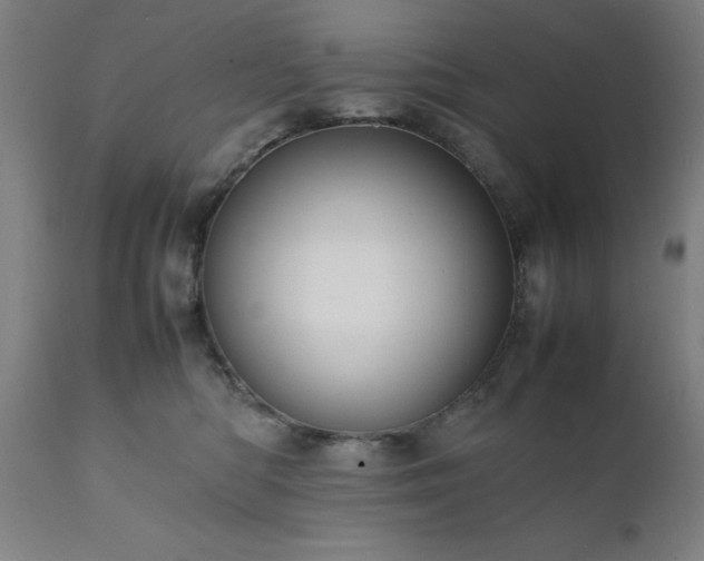 X0000111810422200907301237