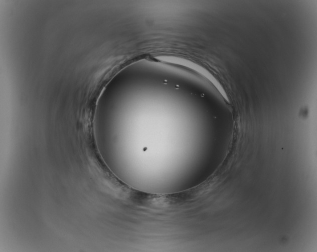 X0000111810423200907301237