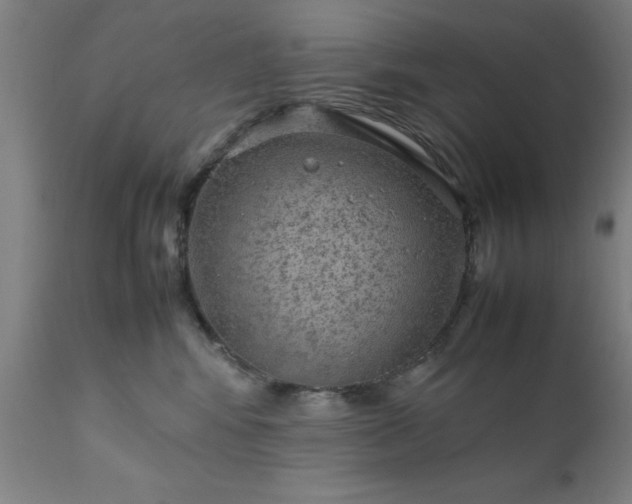 X0000111810424200907301237