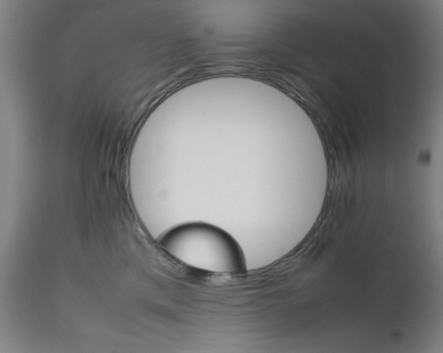 X0000111810425200907301237