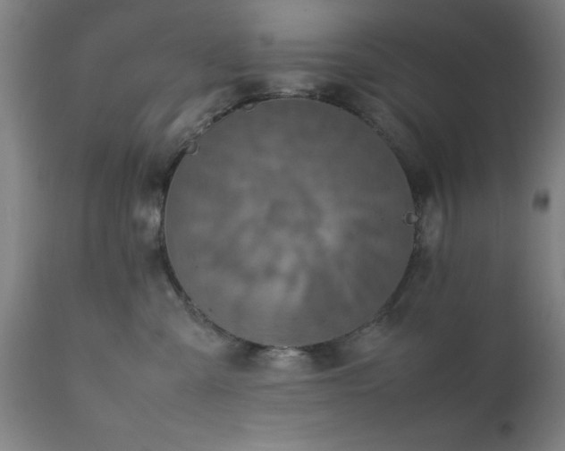 X0000111810427200907301237