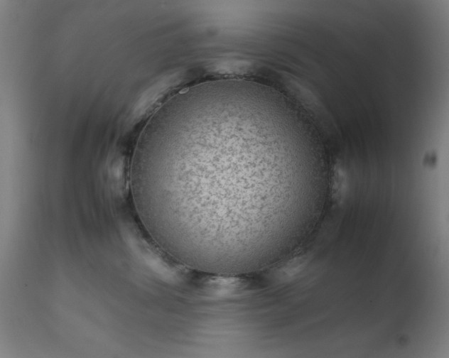 X0000111810428200907301237