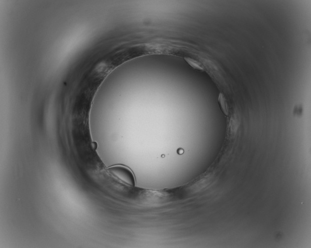 X0000111810429200907301237