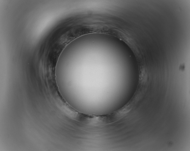 X0000111810430200907301237