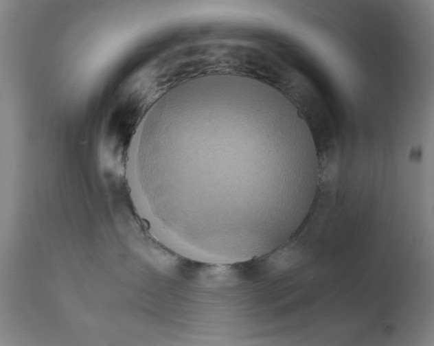 X0000111810431200907301237