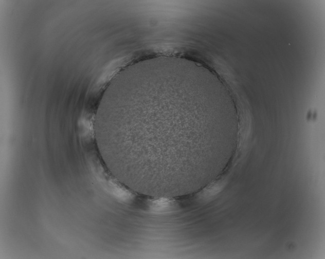 X0000111810432200907301237