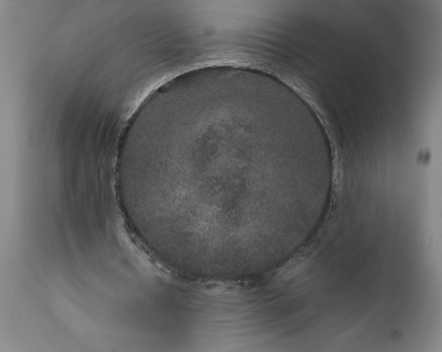 X0000111810434200907301236