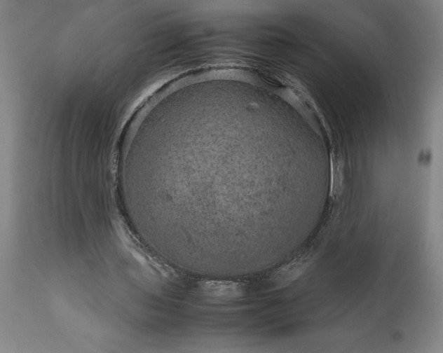 X0000111810435200907301236